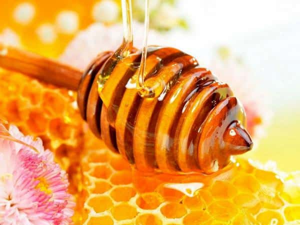 تصویر 3 از قیمت خرید عسل گون گز + فروش ویژه